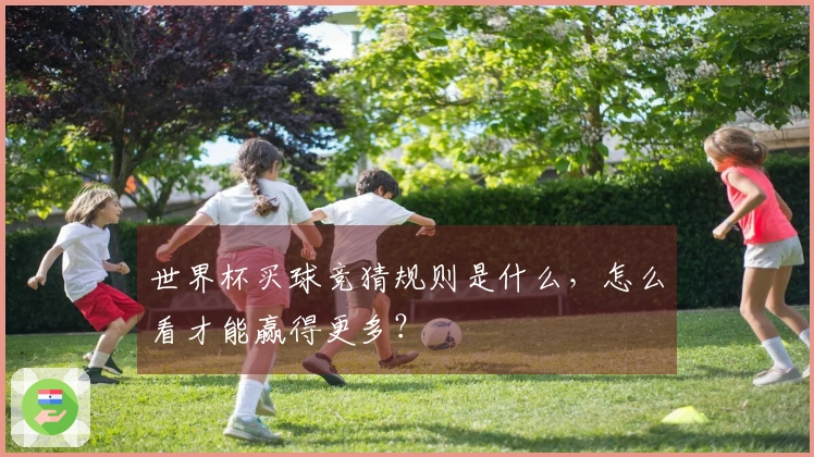 世界杯买球竞猜规则是什么，怎么看才能赢得更多？
