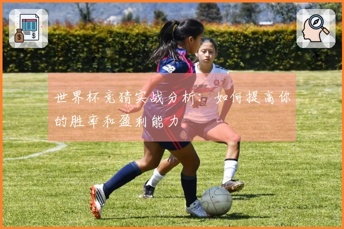 世界杯竞猜实战分析：如何提高你的胜率和盈利能力