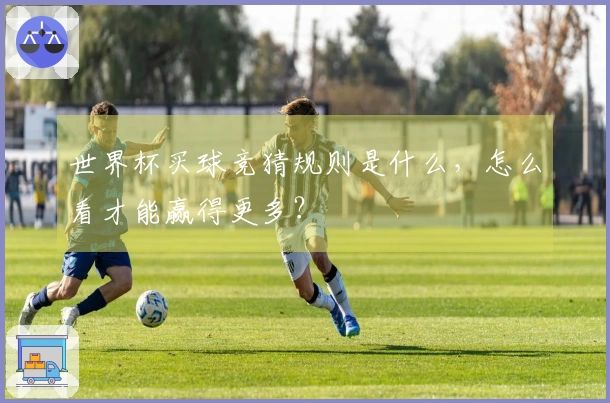 世界杯买球竞猜规则是什么，怎么看才能赢得更多？