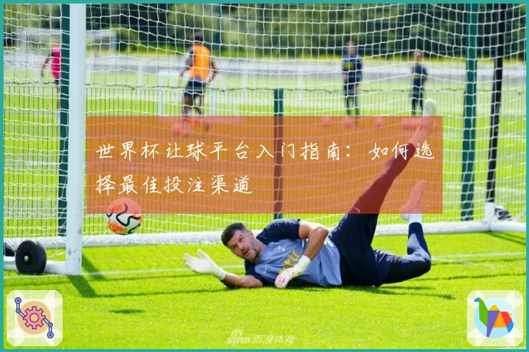 世界杯让球平台入门指南：如何选择最佳投注渠道